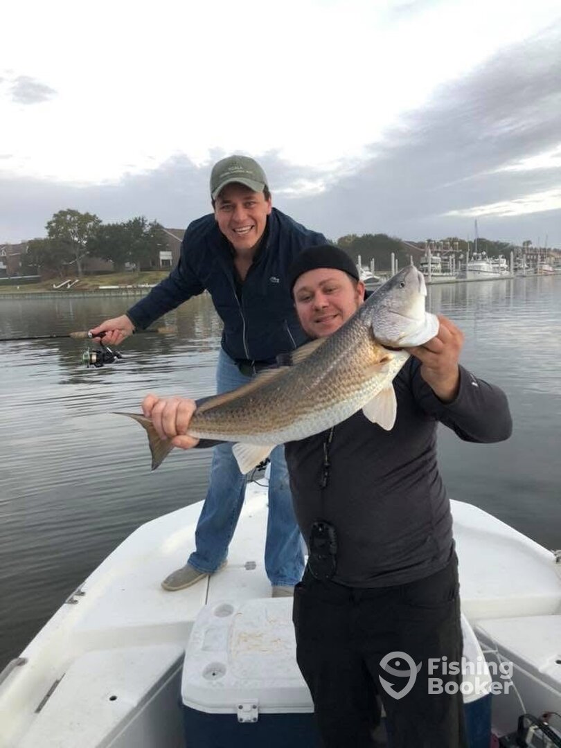 Houston Report Photo 0