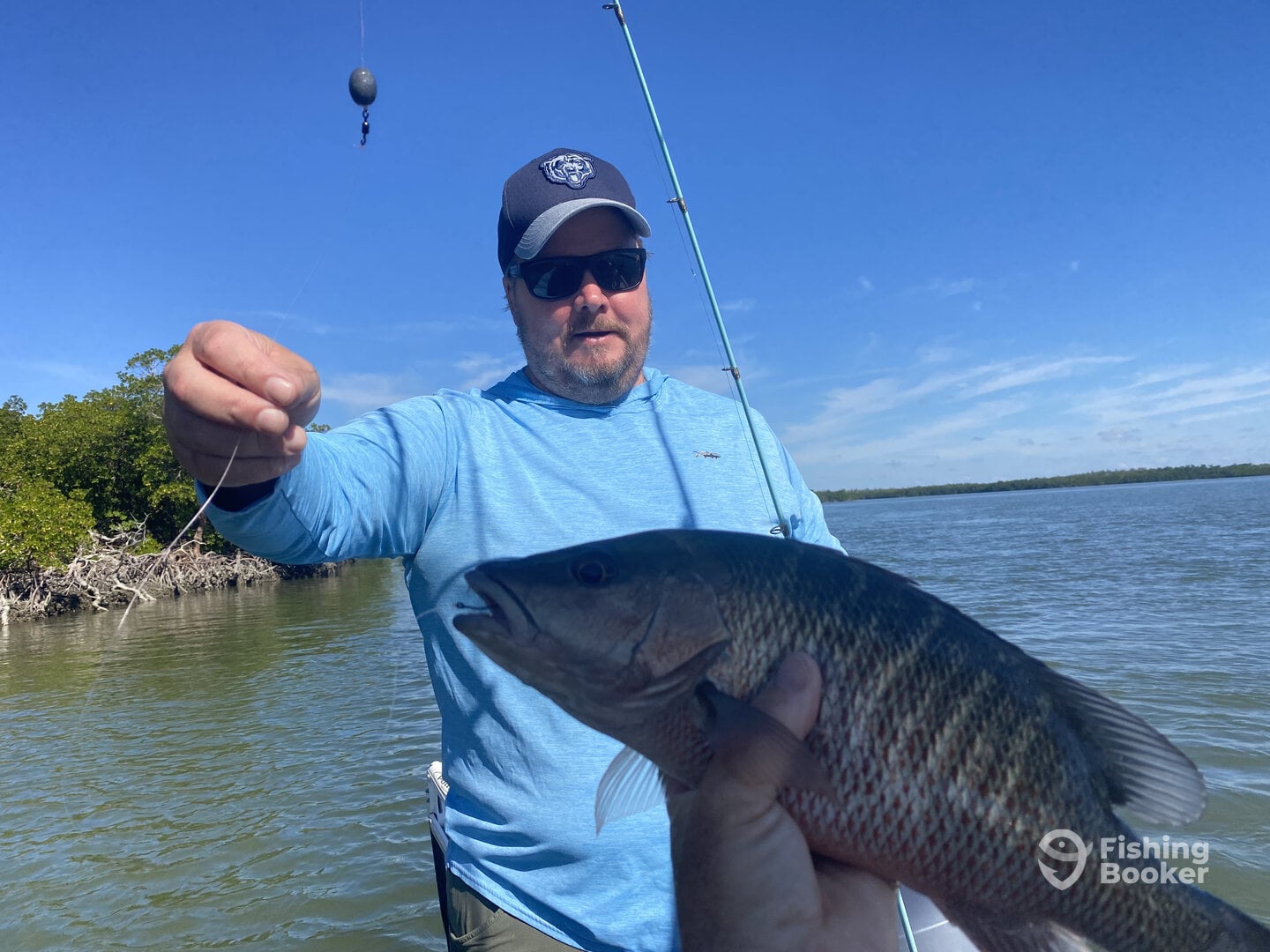 15” mangrove snapper   Can you say “ fish tacos “ 