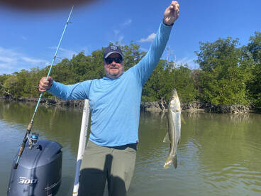 Snook  14”mangrove snappers 