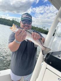 Spotted sea trout Ten thousand Islands 