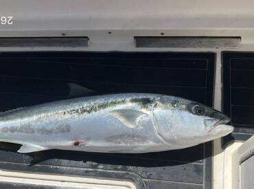 Australia Report Photo 2