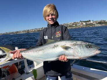 Sydney Report Photo 2