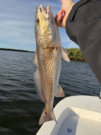 Hudson Report Photo 1