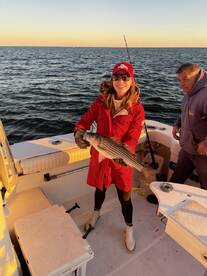 New York City Report Photo 1