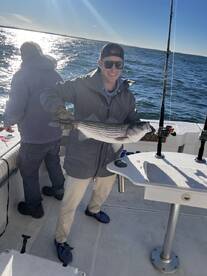 New York City Report Photo 2