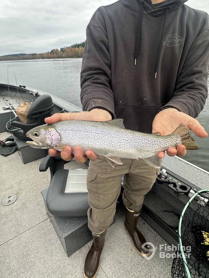 Lake Stevens Report Photo 0