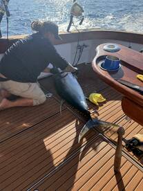 Kailua-Kona Report Photo 1