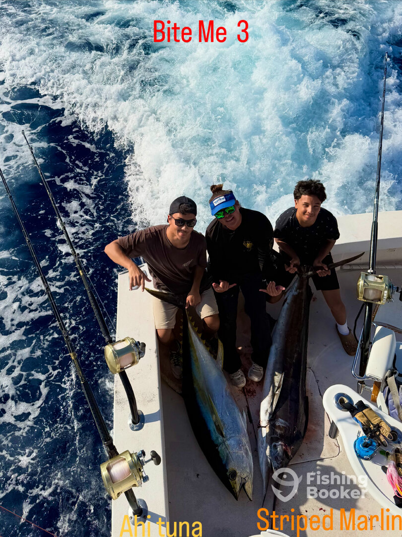 Kailua-Kona Report Photo 0