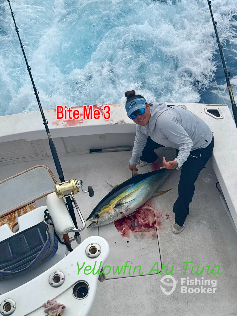 Ahi Yellowfin Tuna