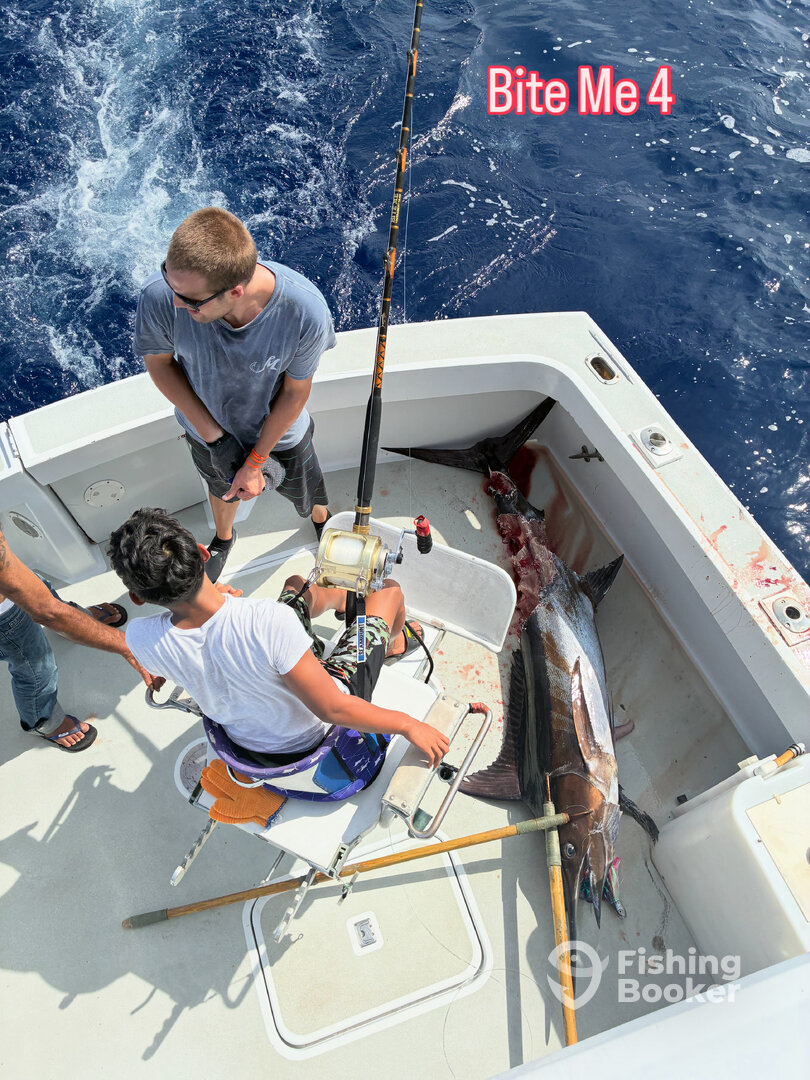 Shark Bites on this Marlin