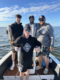 Spring Hill Report Photo 2