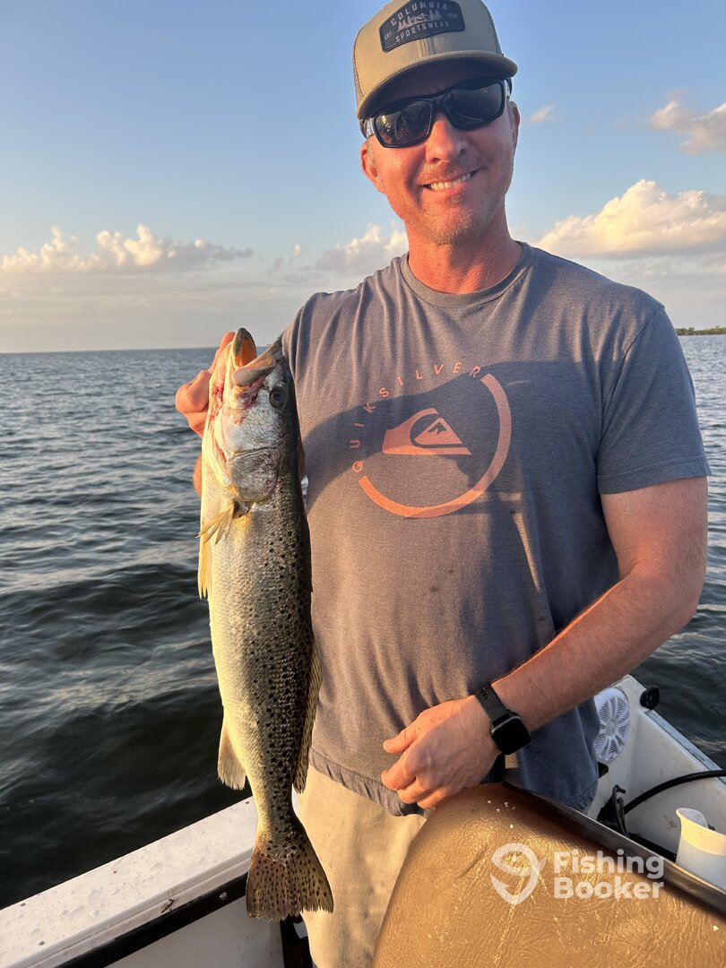 Spring Hill Report Photo 0