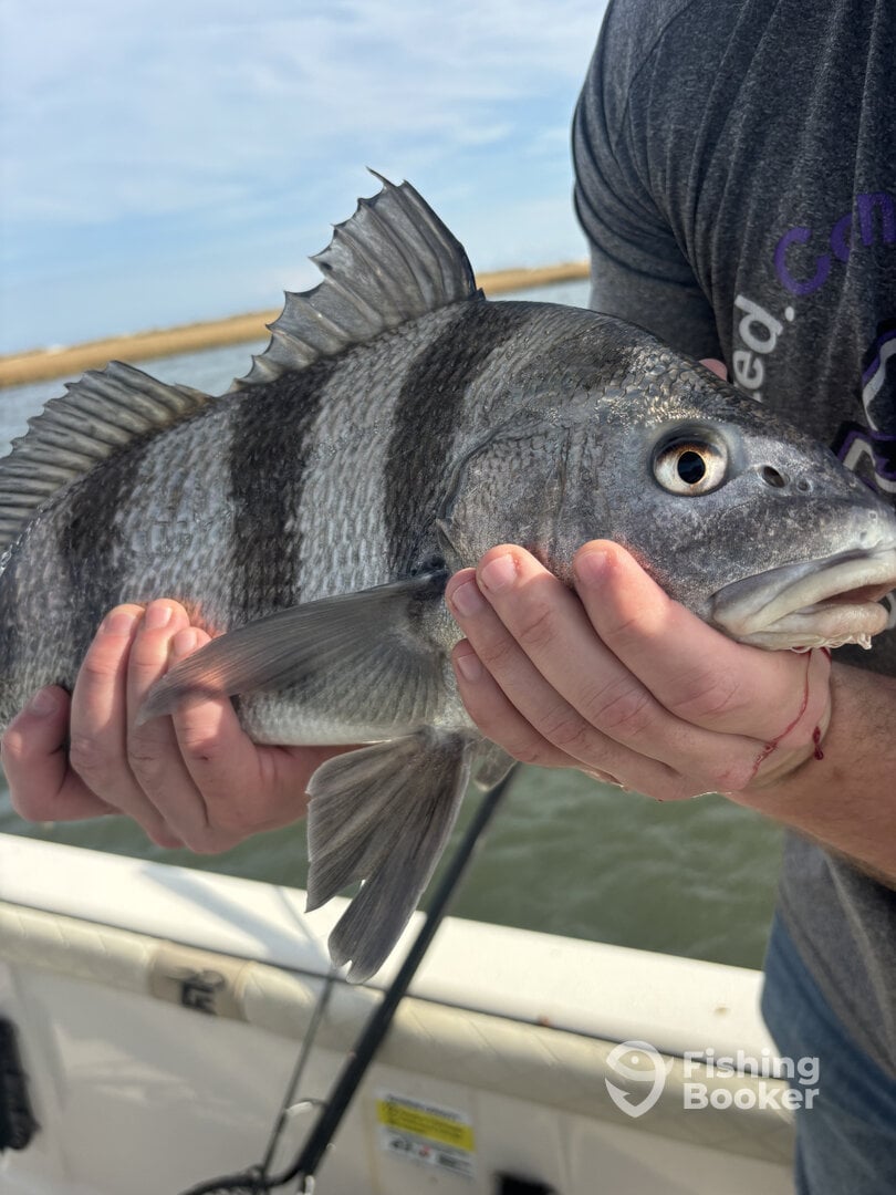 Carolina Beach Report Photo 0