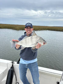 New Hanover County Report Photo 1