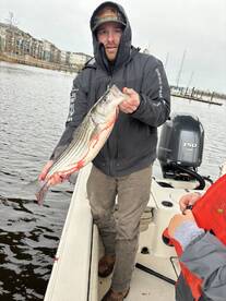 New Hanover County Report Photo 2