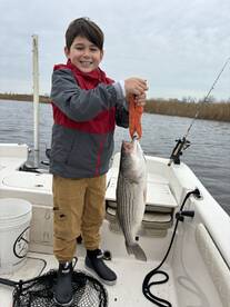 North Carolina Report Photo 2