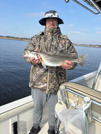 New Hanover County Report Photo 4