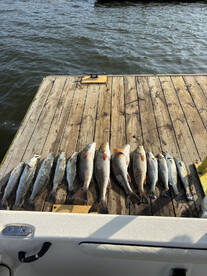 New Hanover County Report Photo 3