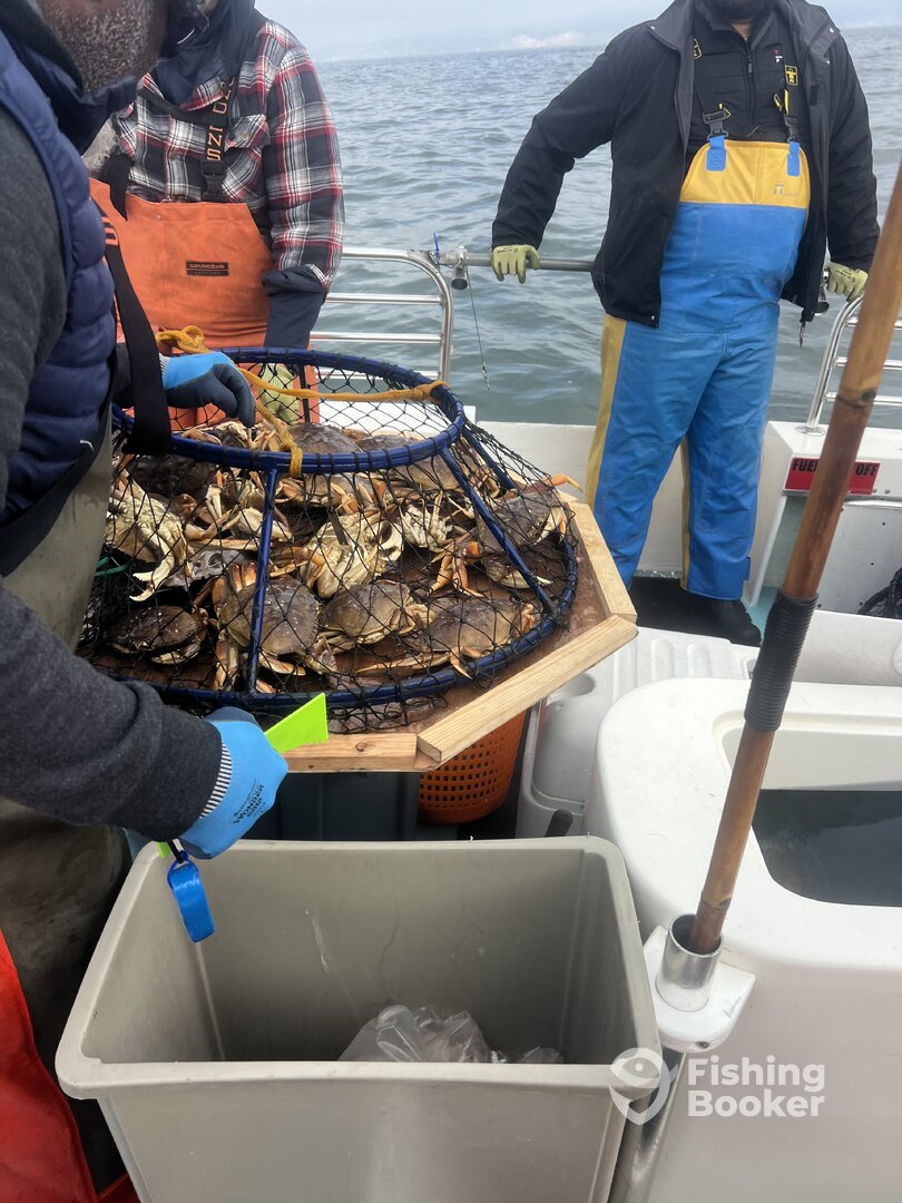 California Delta Report Photo 0