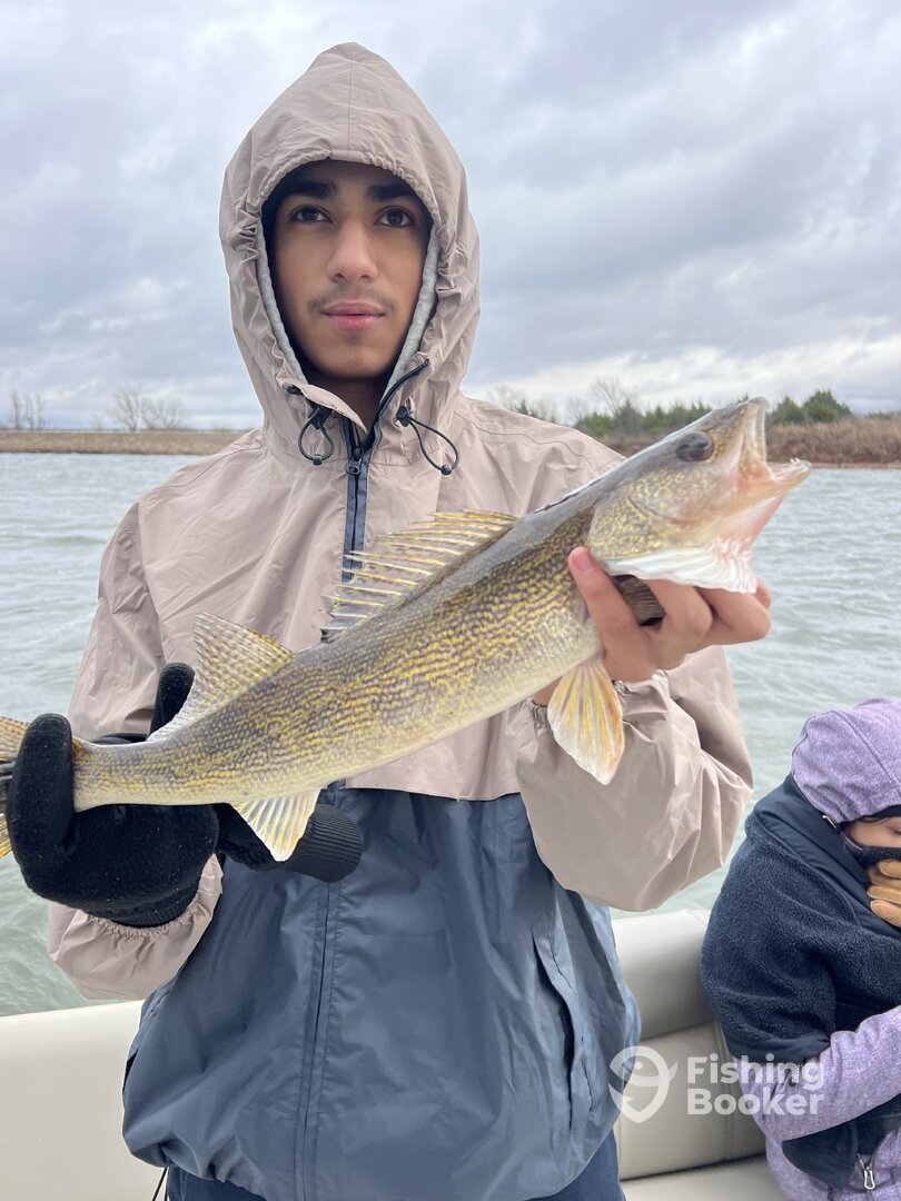 Morrison Report Photo 0