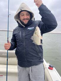 Morrison Report Photo 2