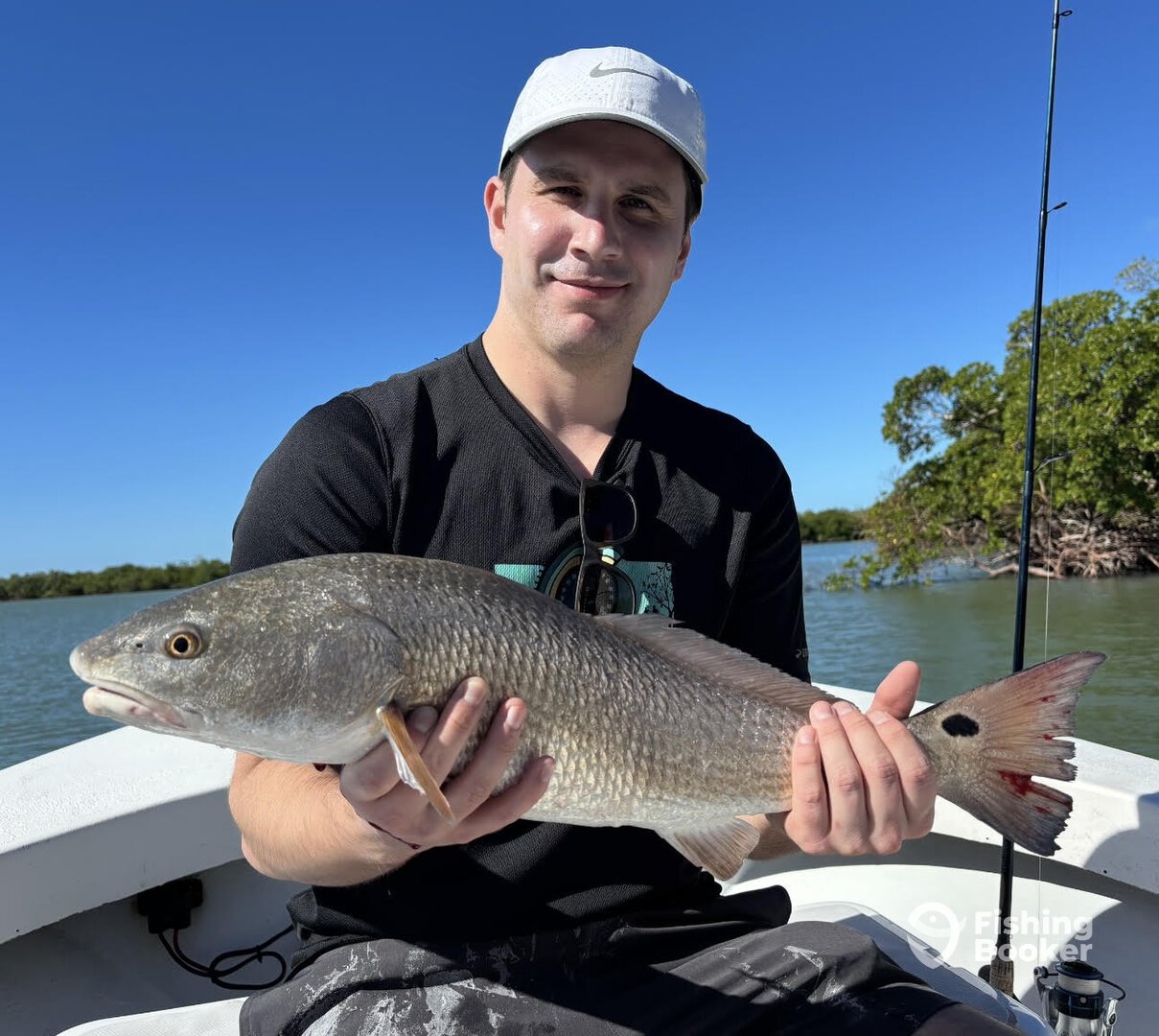 Naples Report Photo 0