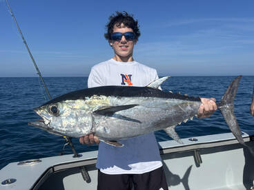 Naples Report Photo 2