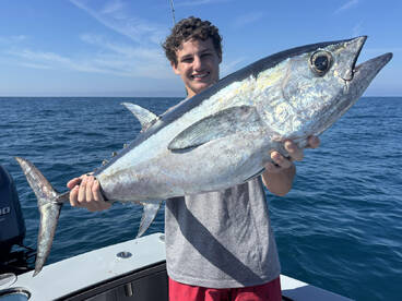 Collier County Report Photo 3