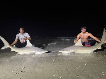 Madeira Beach Report Photo 2