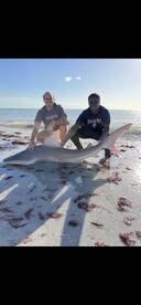 Madeira Beach Report Photo 2