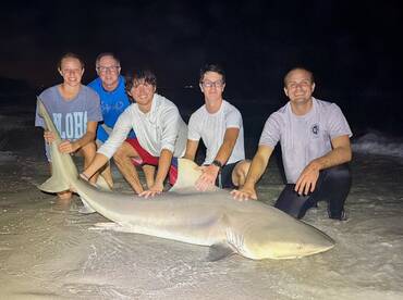 Madeira Beach Report Photo 1