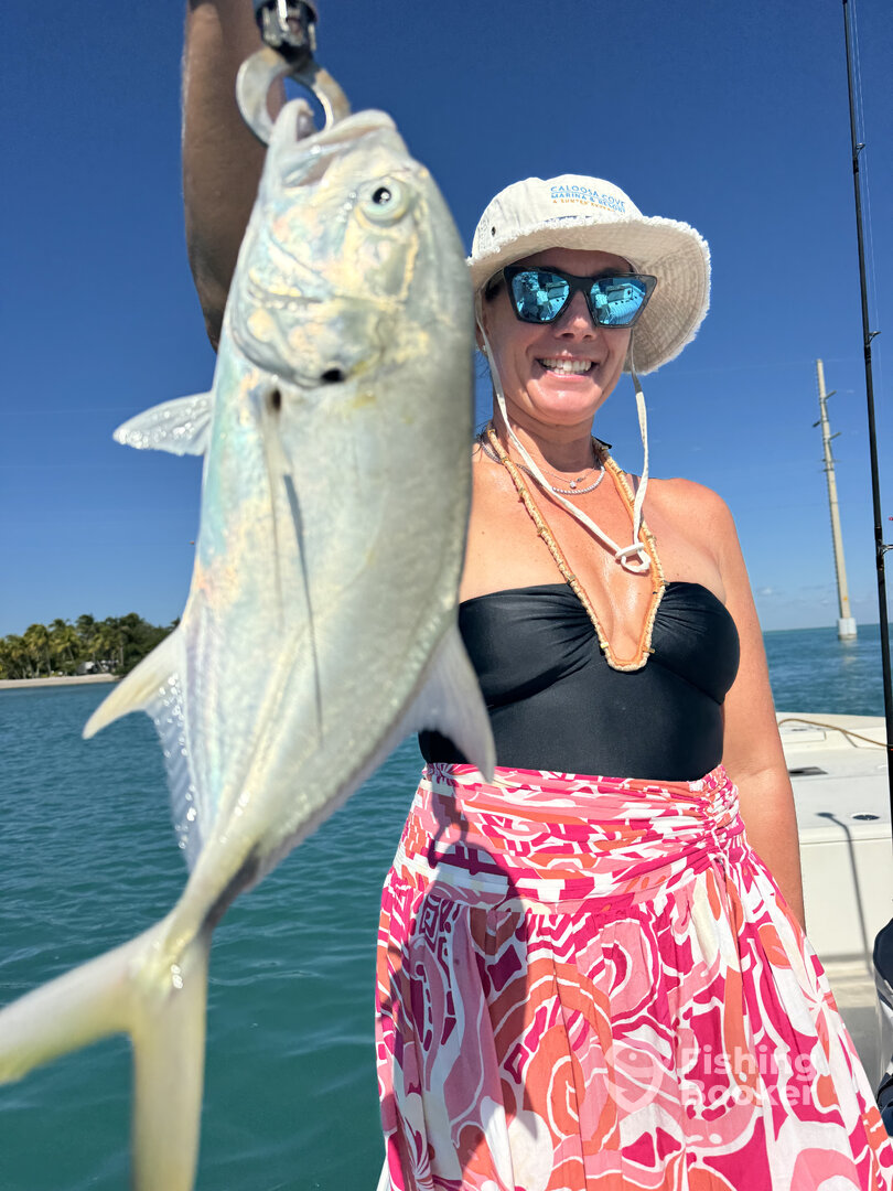 Islamorada Report Photo 0