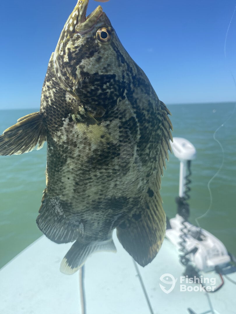 Key Largo Report Photo 0