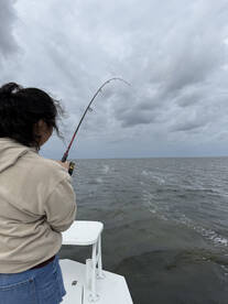 South Padre Island Report Photo 2