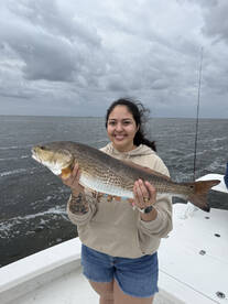 South Padre Island Report Photo 1