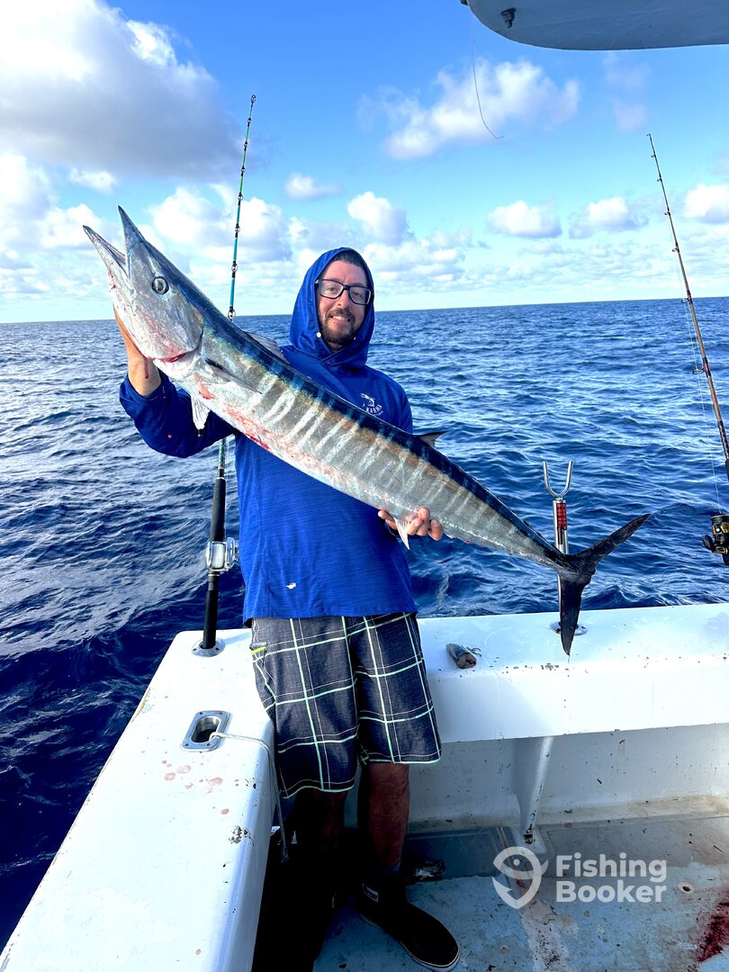 Dania Beach Report Photo 0