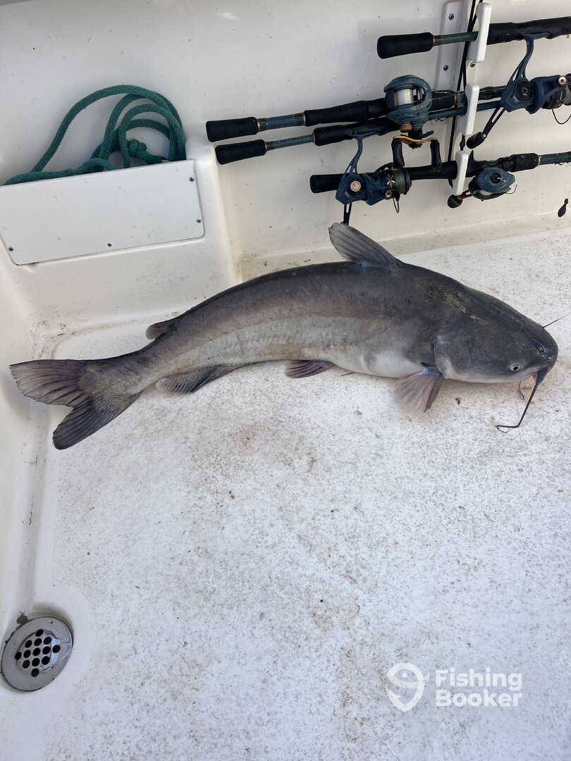 Oklahoma Report Photo 0