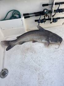 Sand Springs Report Photo 3