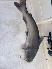 Sand Springs Report Photo 1