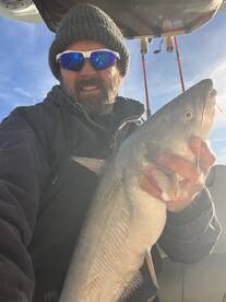 Sand Springs Report Photo 2