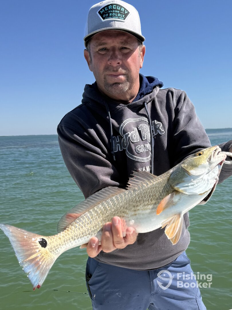 Cape Coral Report Photo 0