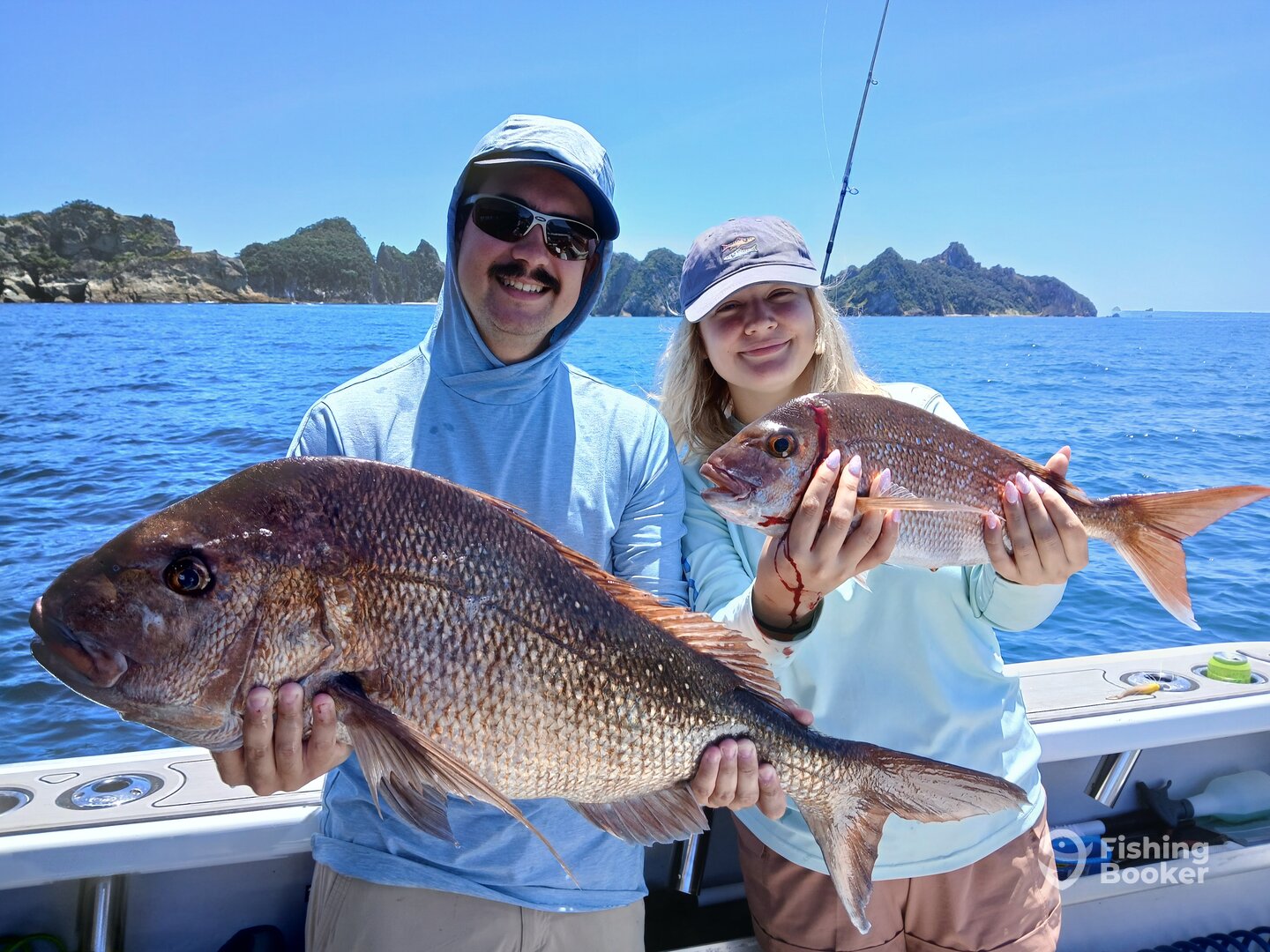 Coromandel Peninsula Report Photo 0