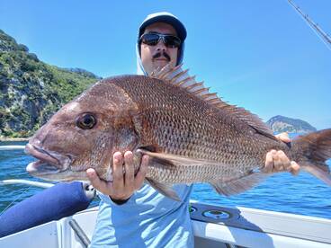 Coromandel Peninsula Report Photo 2
