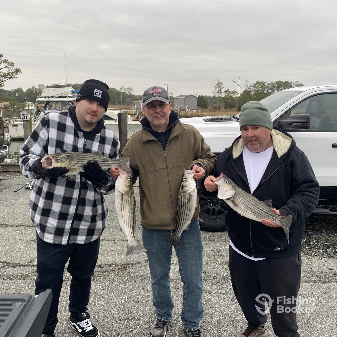 Chesapeake Bay Report Photo 0