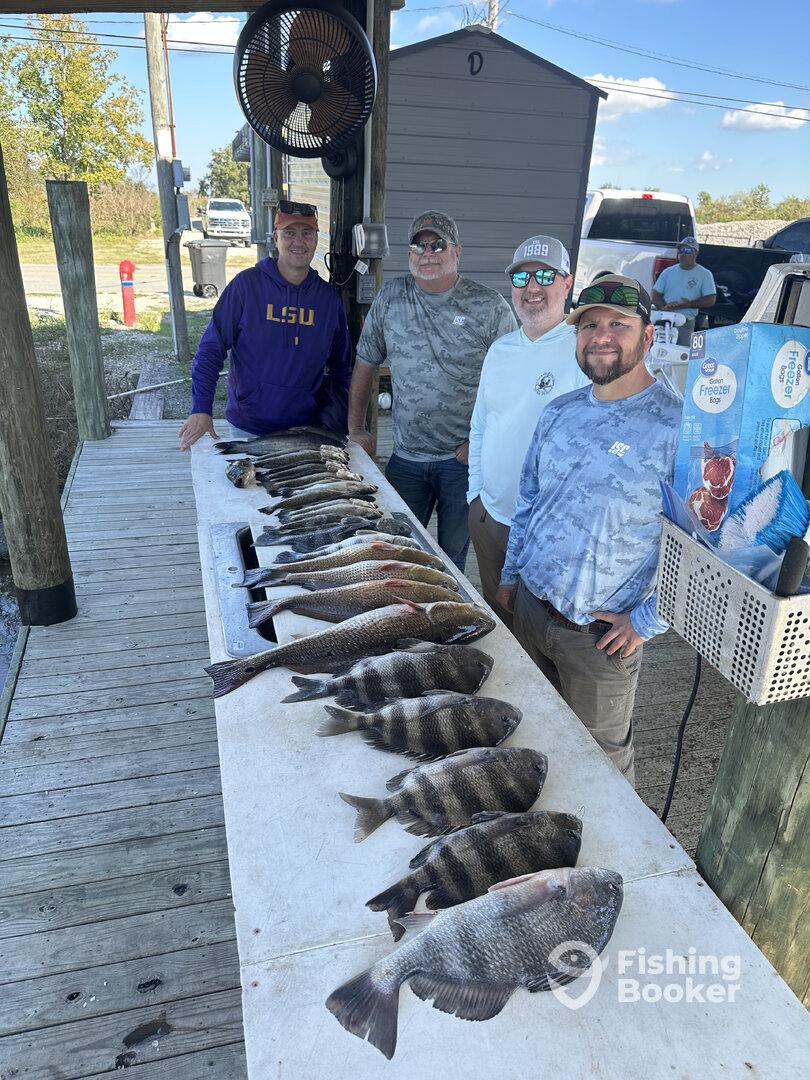 St. Bernard Report Photo 0