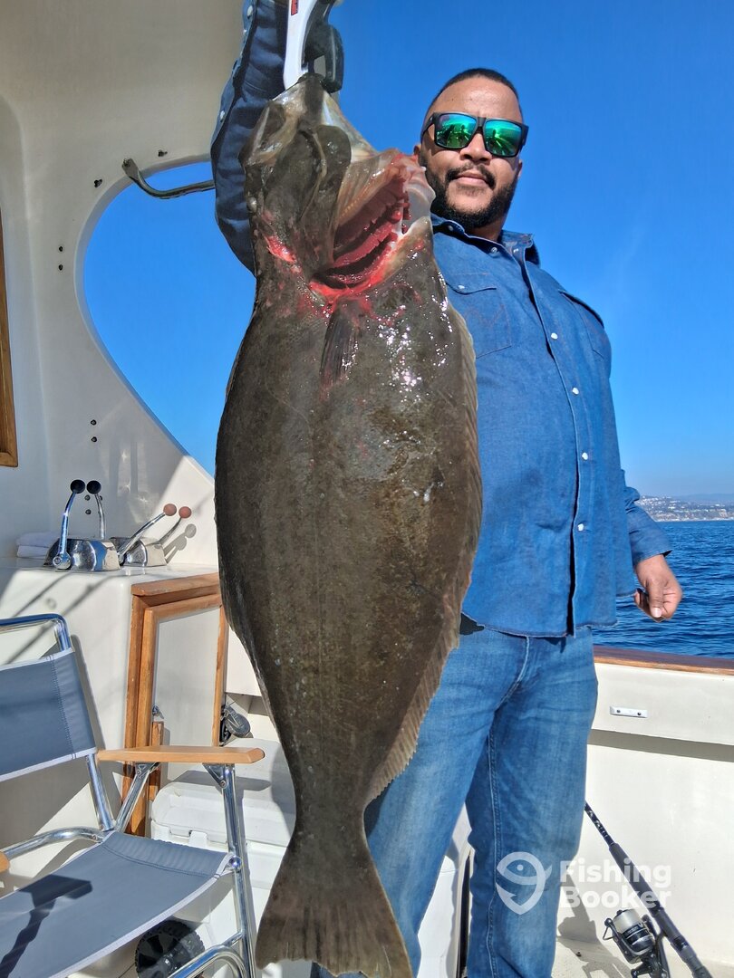 Dana Point Report Photo 0