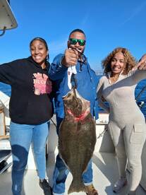 Dana Point Report Photo 1