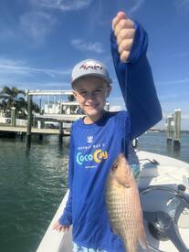 Indian Shores Report Photo 2