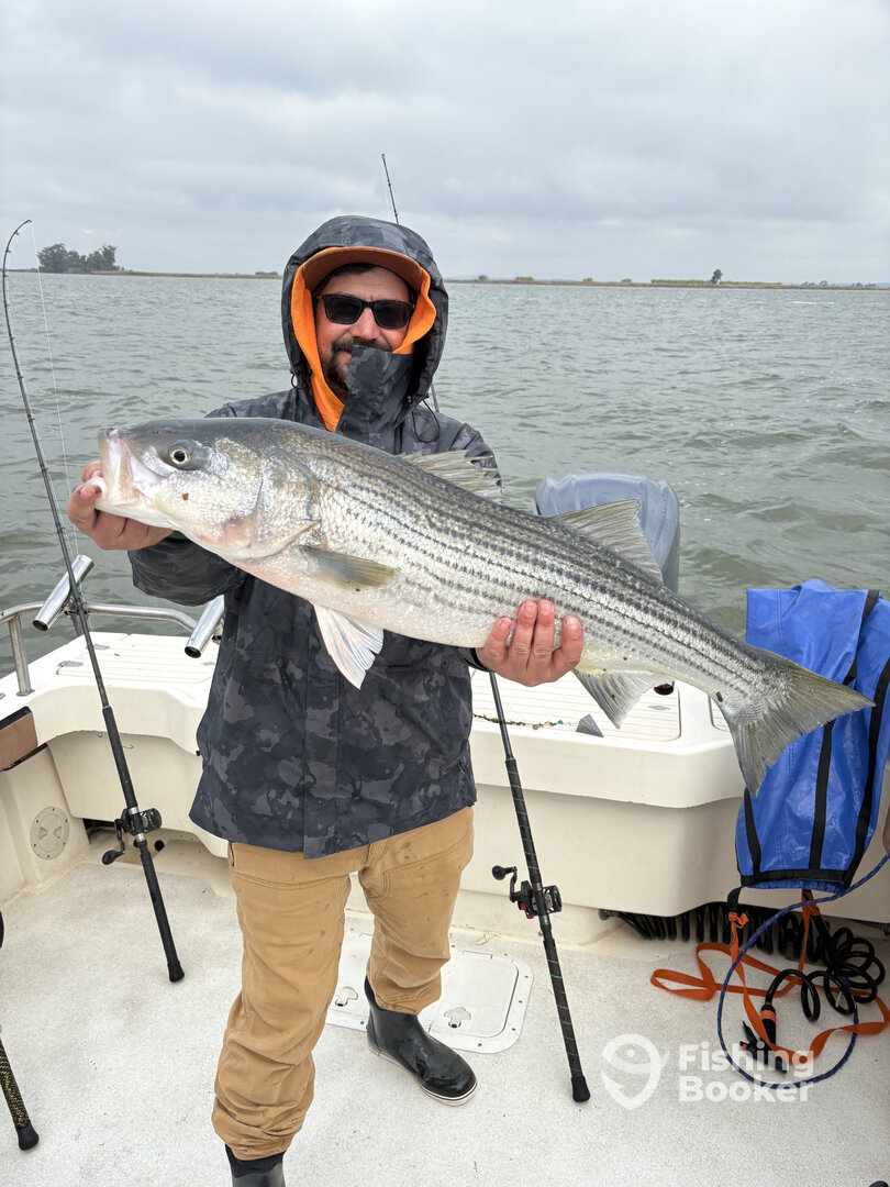 Berkeley Report Photo 0