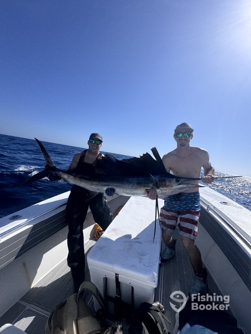 Tavernier Report Photo 0